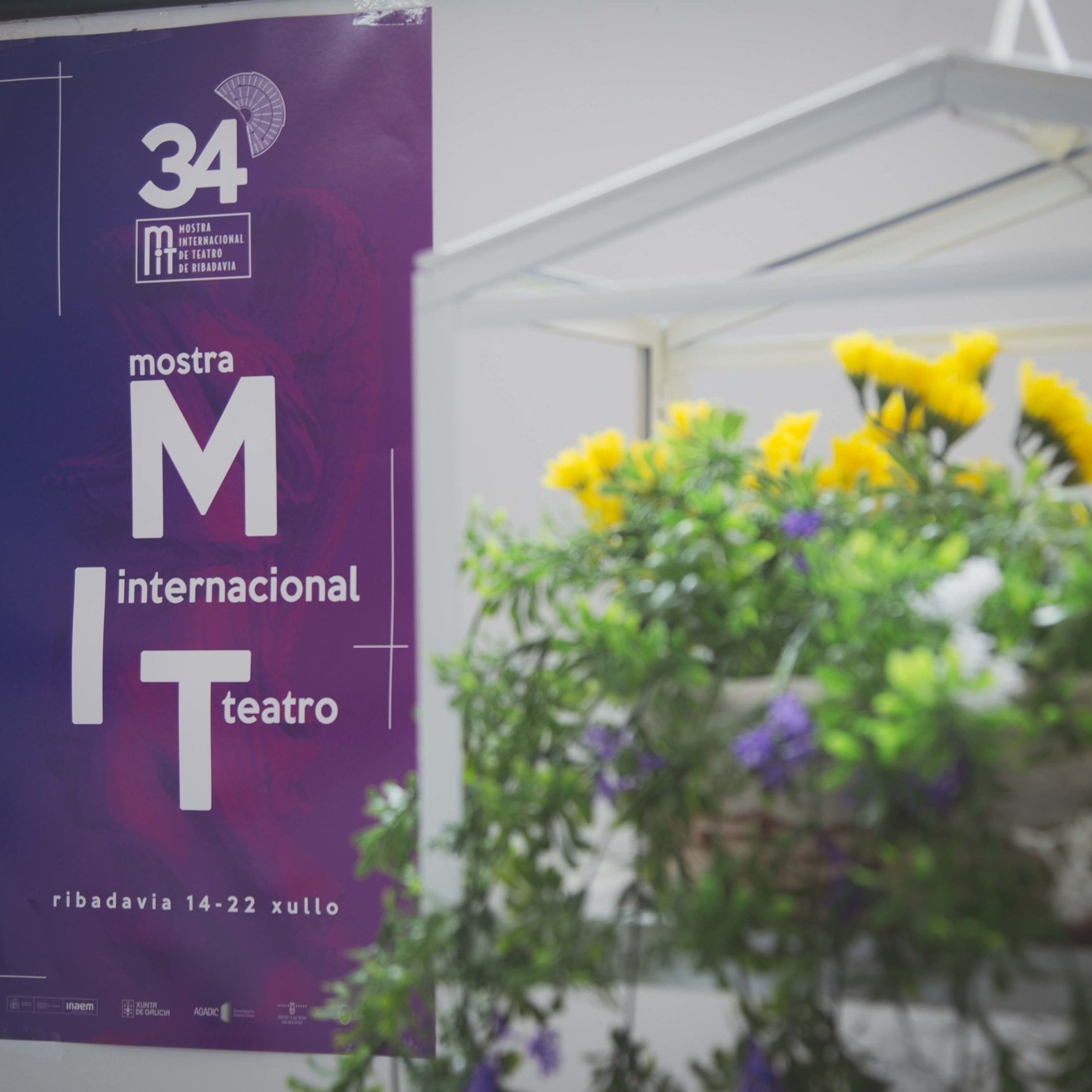 MIT Presentacion